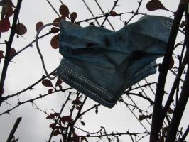 educa press photo 2020 - do 18 let 1076